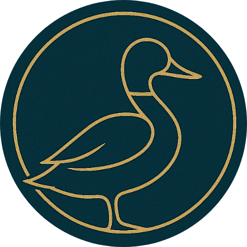 Sylva Clean – Nettoyage de canapé, matelas, tapis, dans le Var